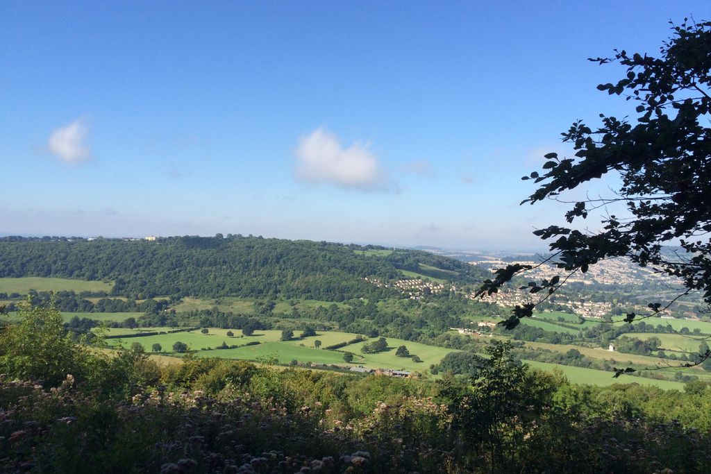 Old Dairy Barn 20 - Gallery