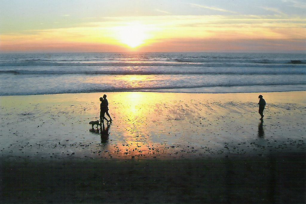 Beachhouse Barn, Medoc gallery 3 - Gallery