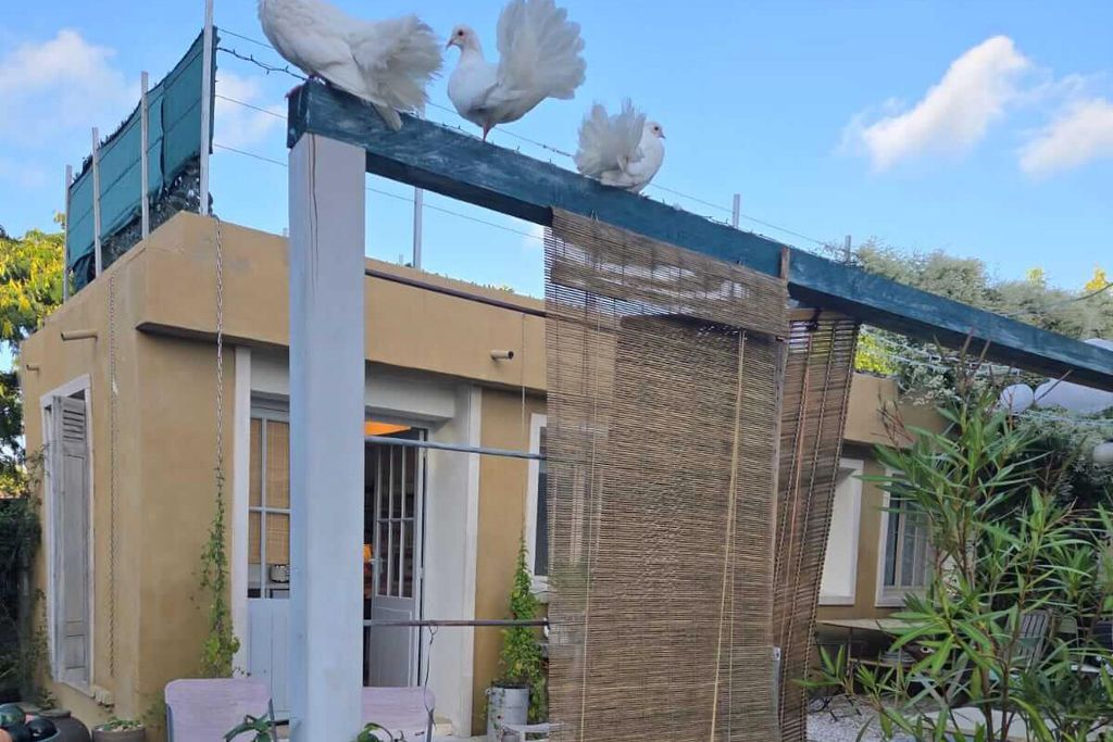 Beachhouse Barn, Medoc gallery 7 - Gallery