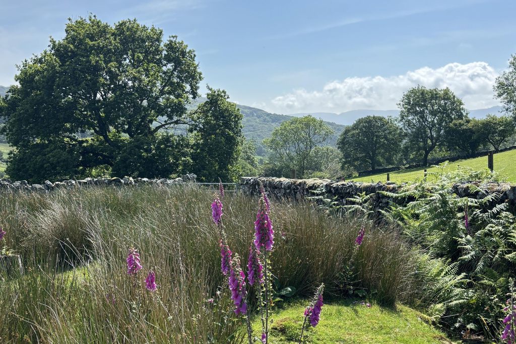 Garth Gell Farmhouse 9 - Gallery