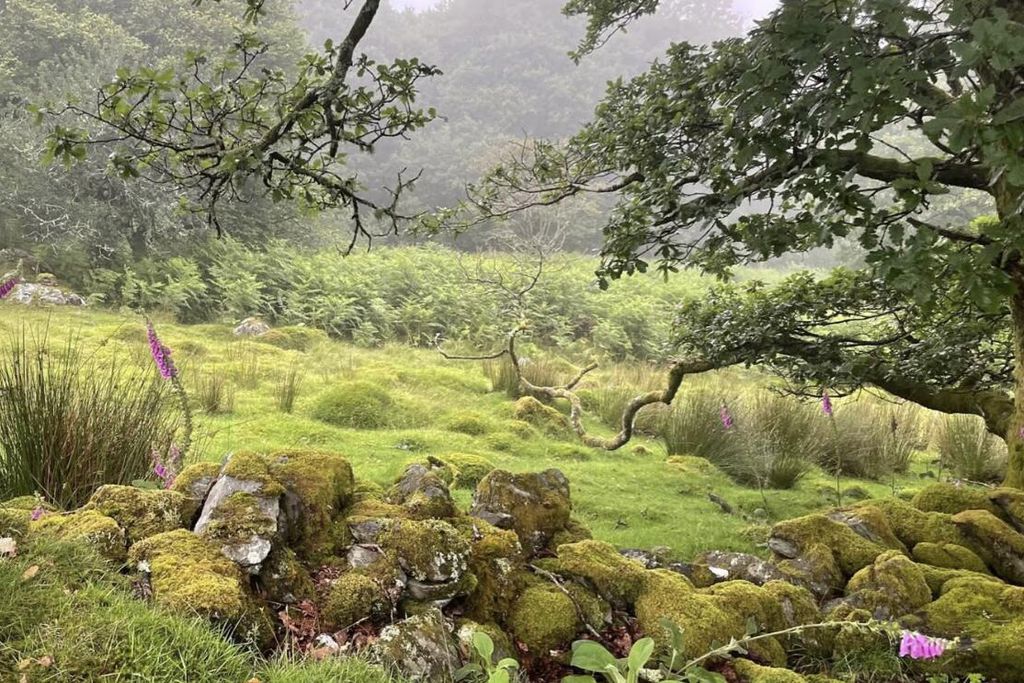 Garth Gell Farmhouse 10 - Gallery