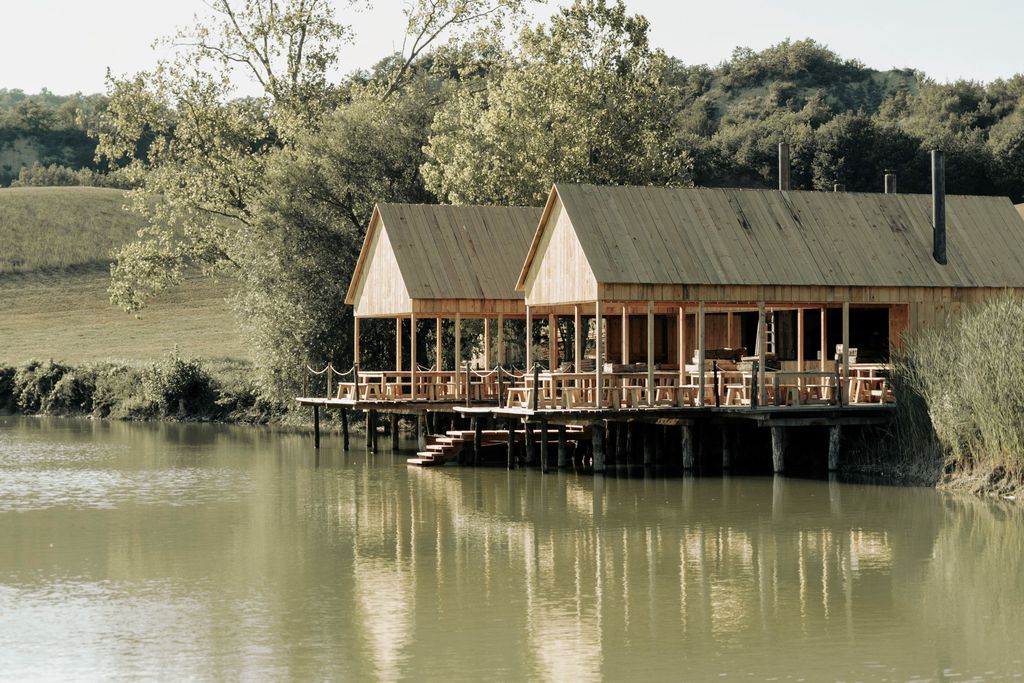 Rosa Cypria 8 - Gallery