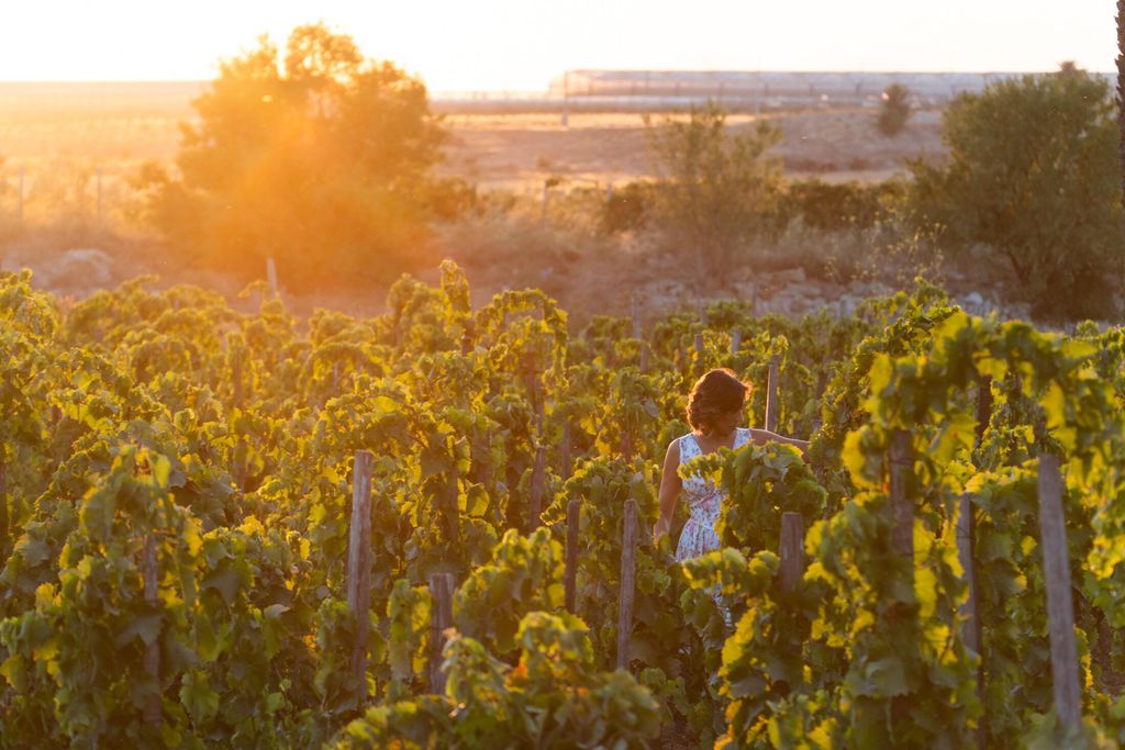 Baglio Occhipinti 19 - Gallery