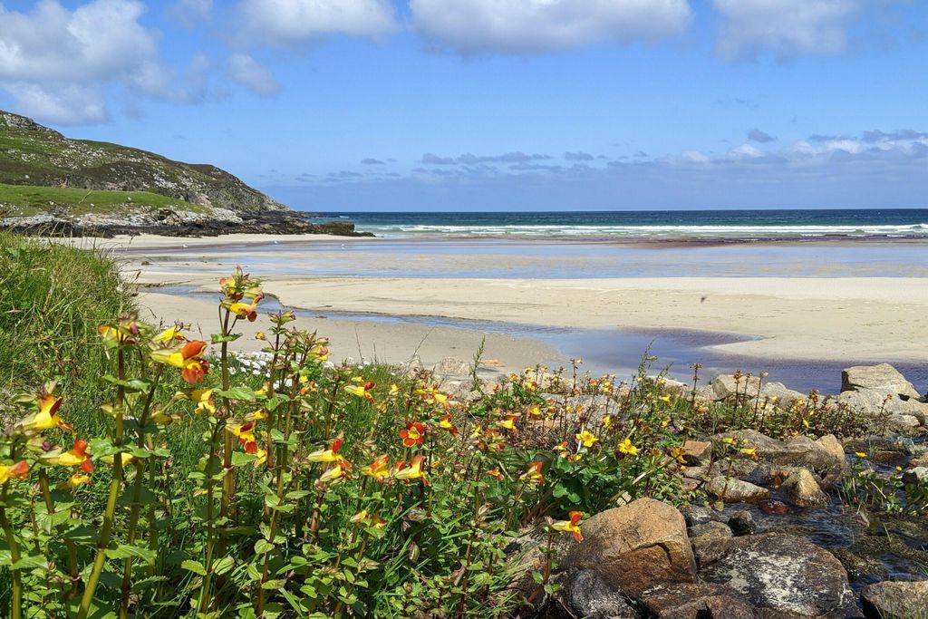 The Lewis Longhouse 2 - Gallery