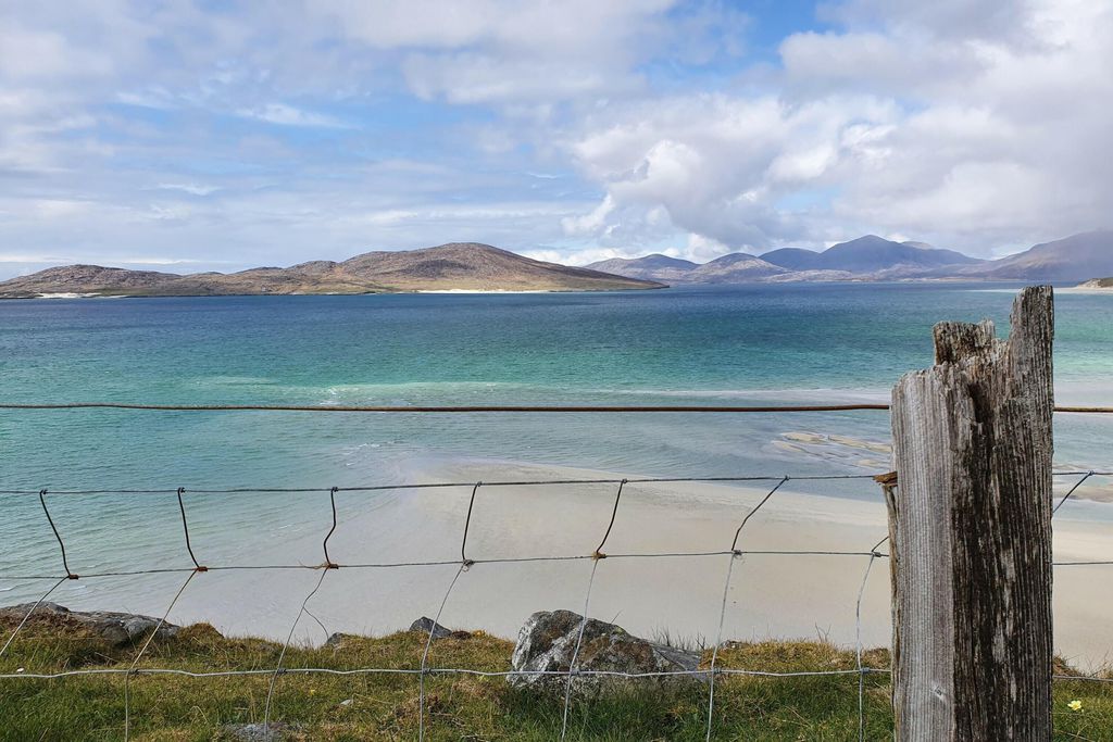 The Lewis Longhouse 19 - Gallery