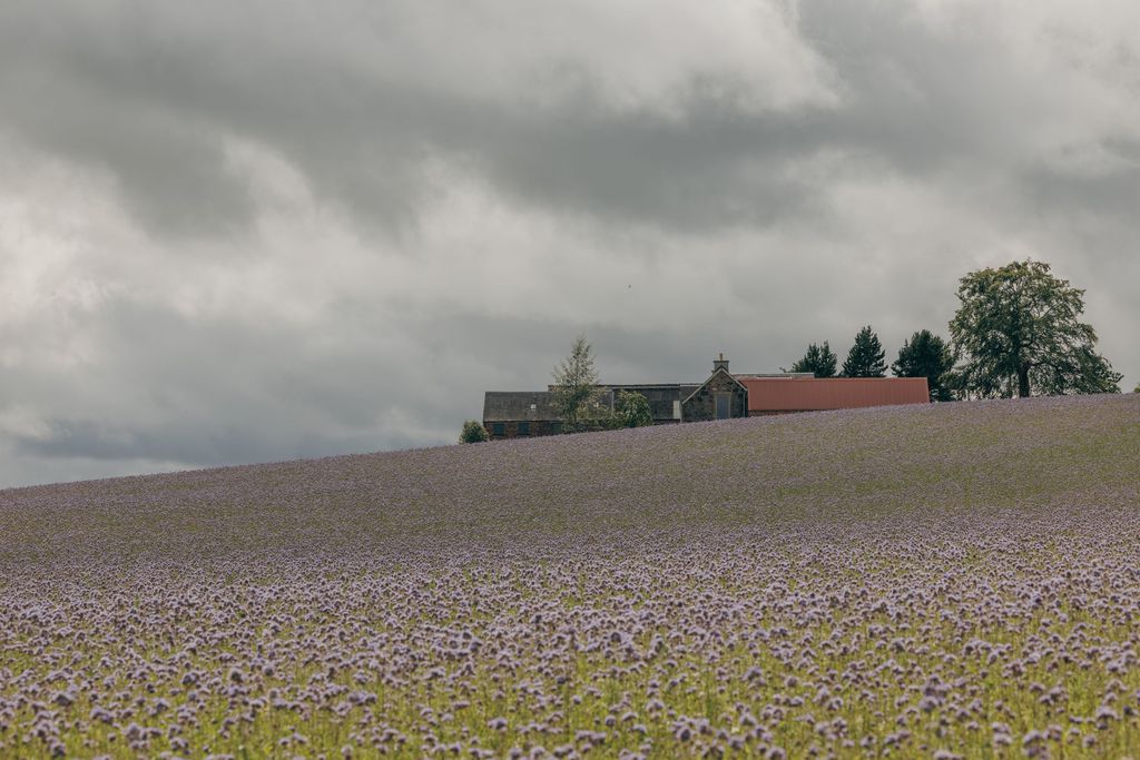 Whitehill Farm House 18 - Gallery