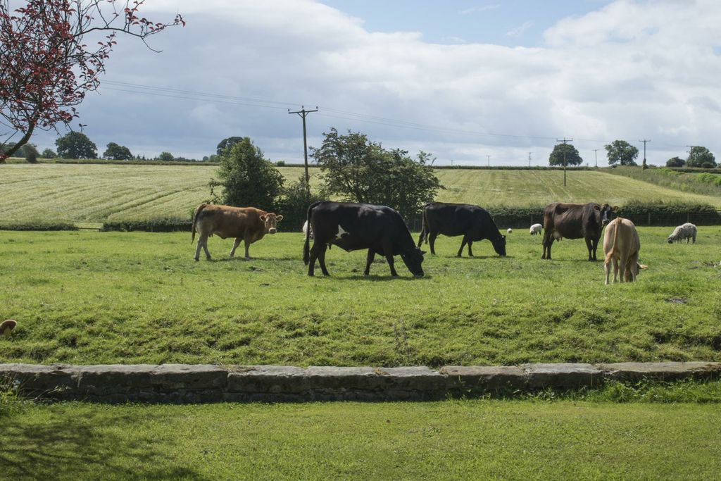 Mallard Grange 6 - Gallery