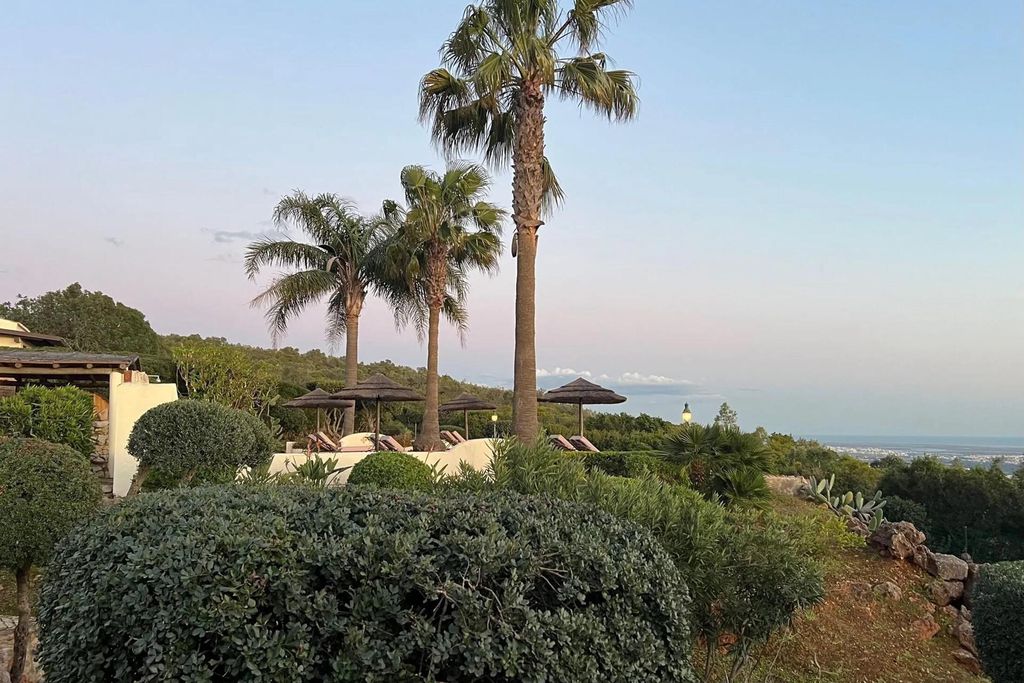 Monte Borboleta 15 - Gallery