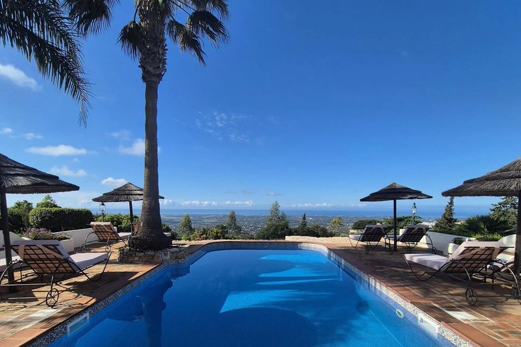 Monte Borboleta 1 - Gallery