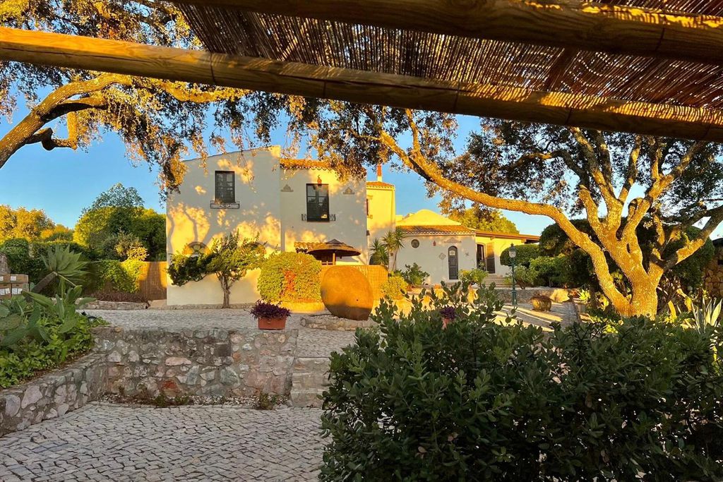 Monte Borboleta 2 - Gallery