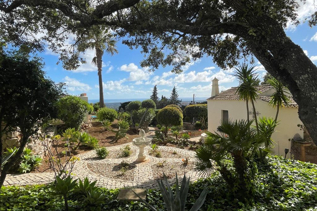 Monte Borboleta 7 - Gallery