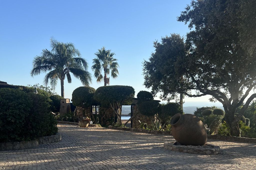 Monte Borboleta 20 - Gallery