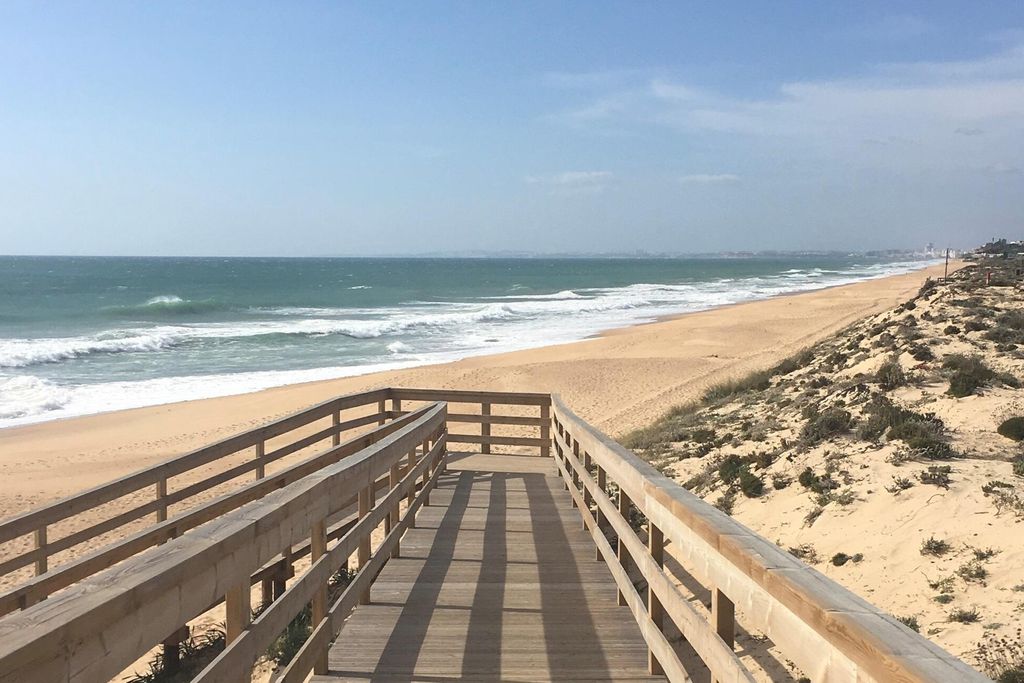 Monte Borboleta 19 - Gallery