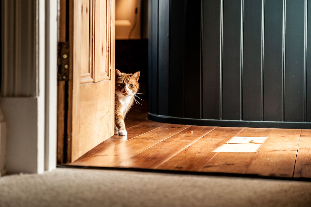 The Old Vicarage Moylegrove 8 - Gallery