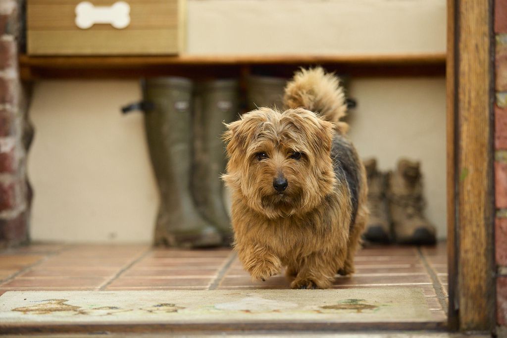 Middle Farm & Cottages: Gooseyard Cottage 13 - Gallery