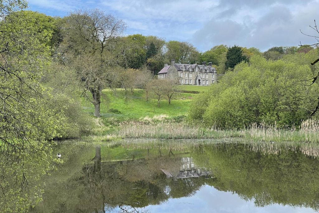 Noyadd Trefawr 4 - Gallery