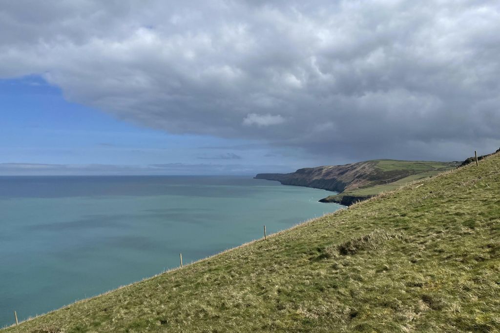 Noyadd Trefawr 7 - Gallery