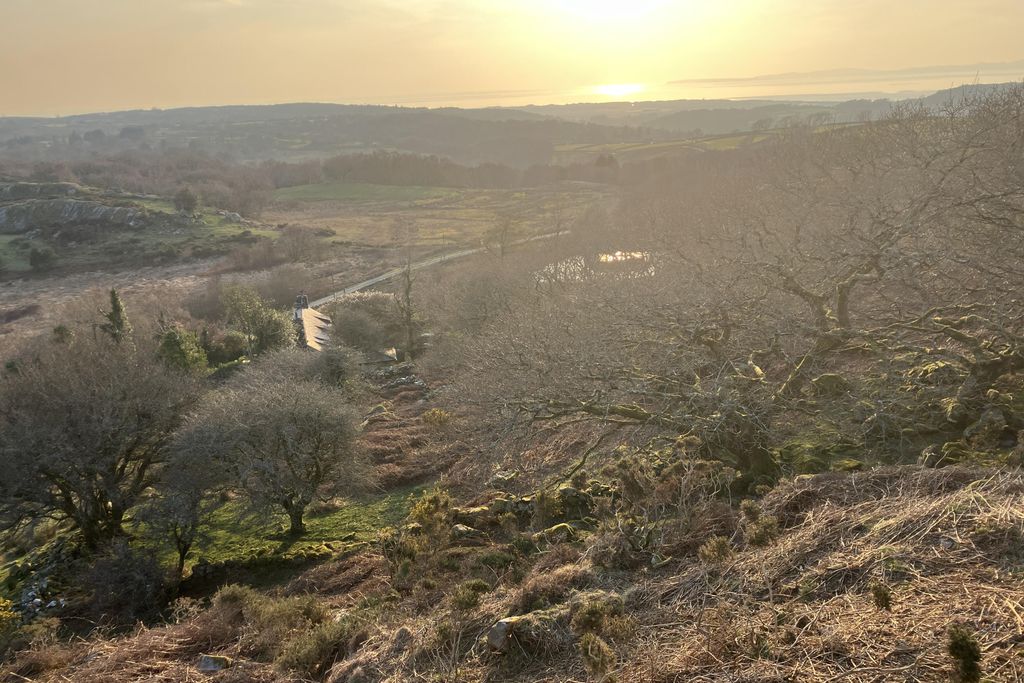 Gelliwaen 20 - Gallery