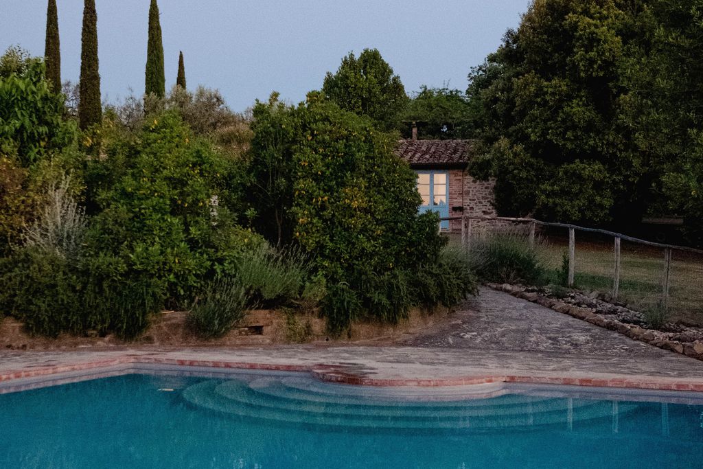 Maraviglia 19 - Gallery