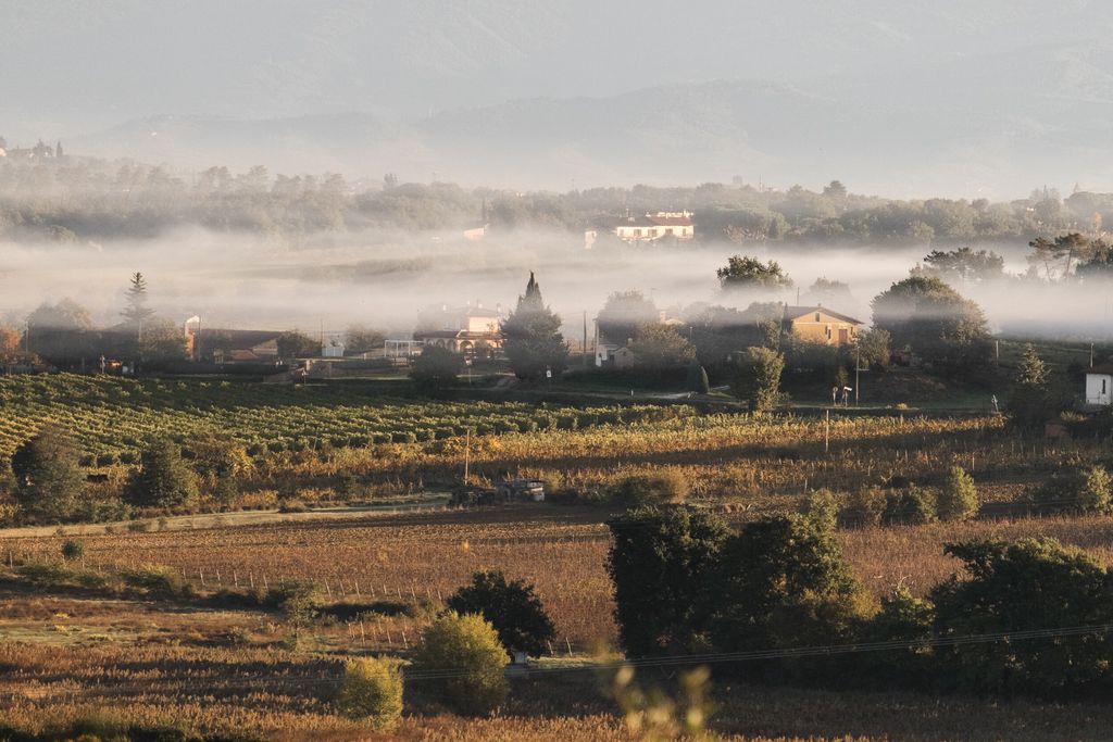 Maraviglia 20 - Gallery