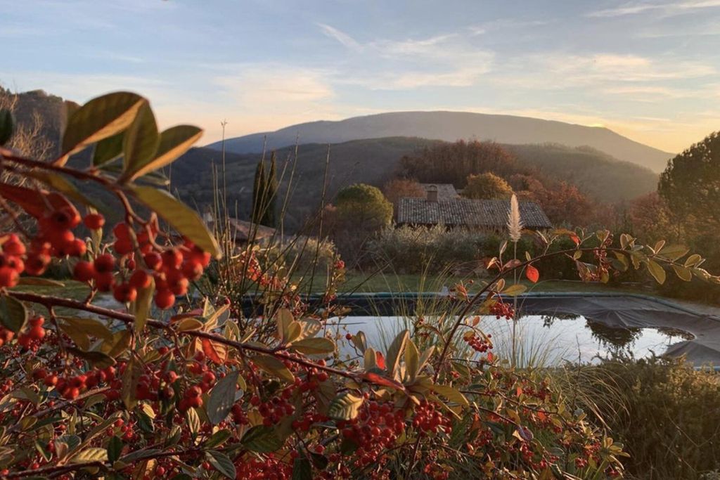 Casa Rosa 3 - Gallery