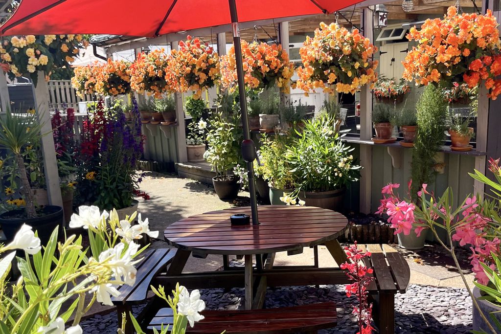 Sibton White Horse 8 - Gallery