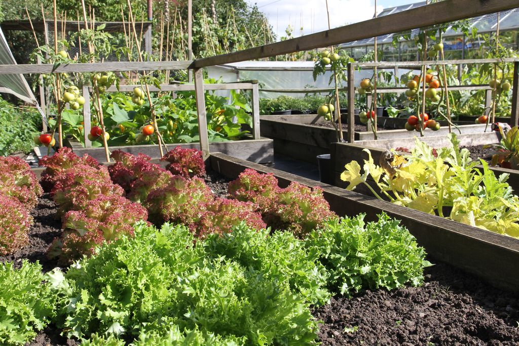 Sibton White Horse 19 - Gallery