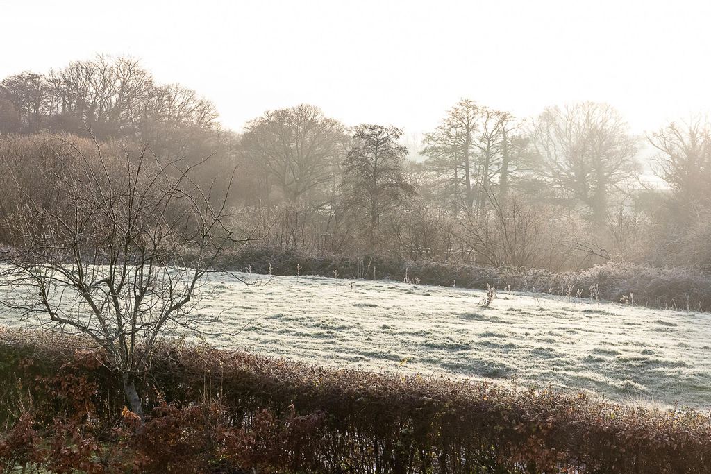 The Barn at Malthouse Cottage 14 - Gallery