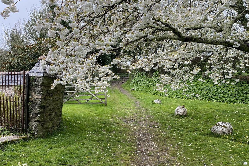 The Old Barn, Lower Tresithick Farm 6 - Gallery