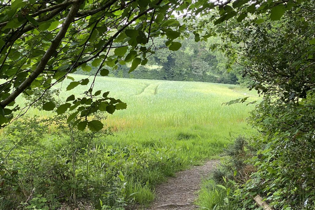 The Old Barn, Lower Tresithick Farm 7 - Gallery