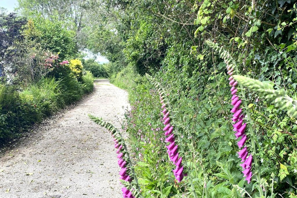 The Old Barn, Lower Tresithick Farm 8 - Gallery