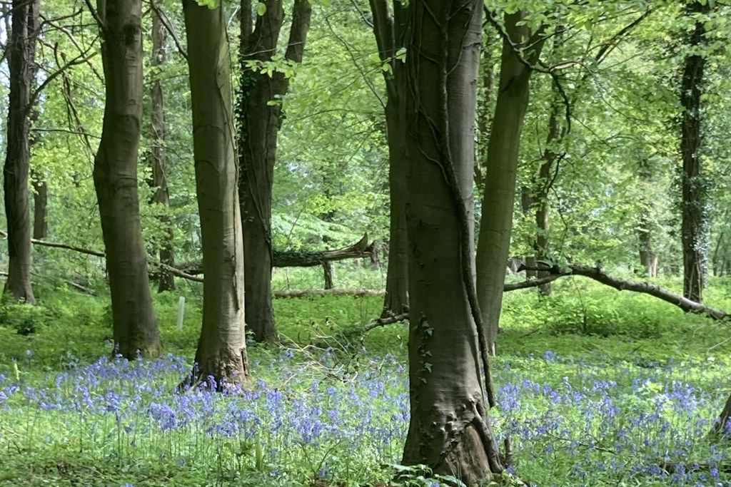 The Barn at Clapton Manor 7 - Gallery