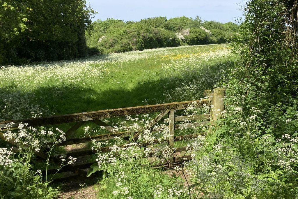 The Barn at Clapton Manor 8 - Gallery