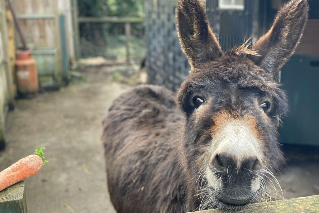 The Hundred House Hotel 16 - Gallery