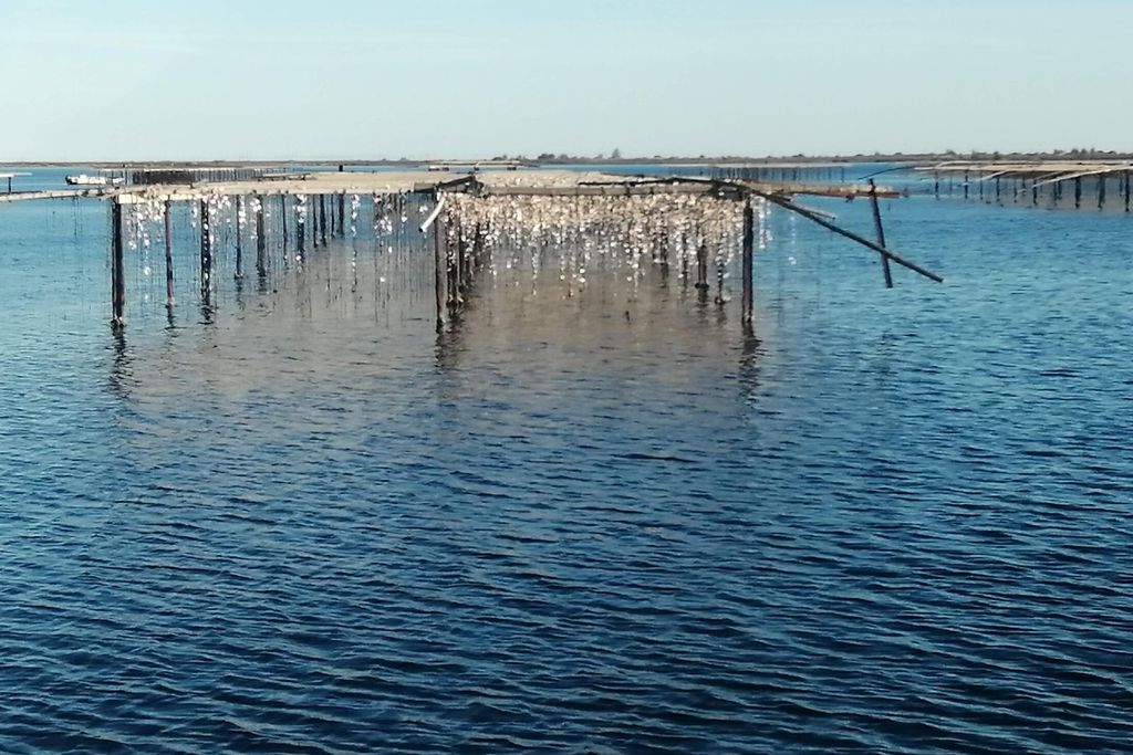 Le Manoir Retreat - The Wing 18 - Gallery