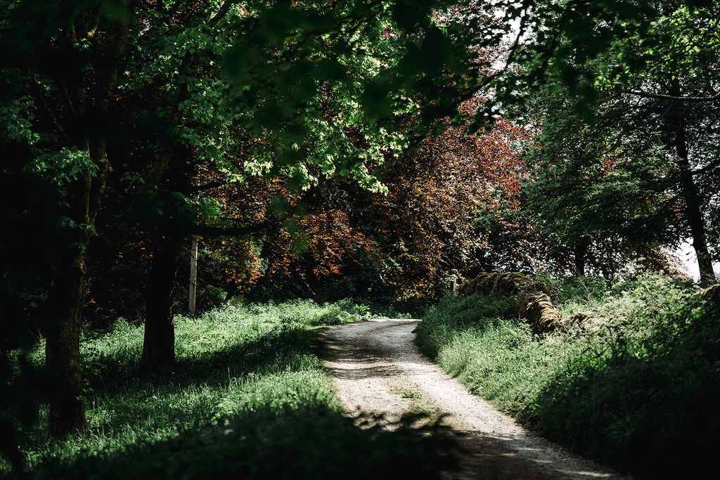 The Stables at Rocking Stone Farm 16 - Gallery
