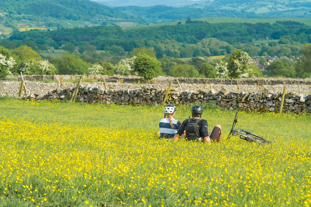 The Stables at Rocking Stone Farm 17 - Gallery