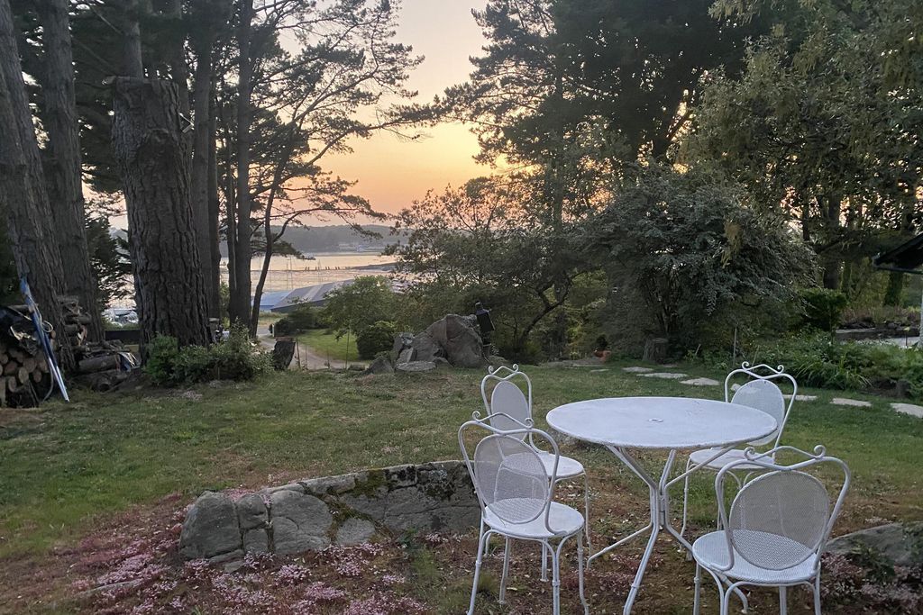 Mane Braz 18 - Gallery