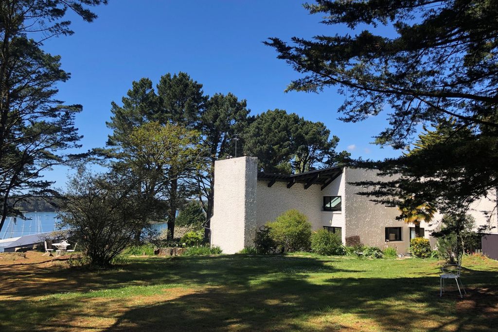 Mane Braz 17 - Gallery