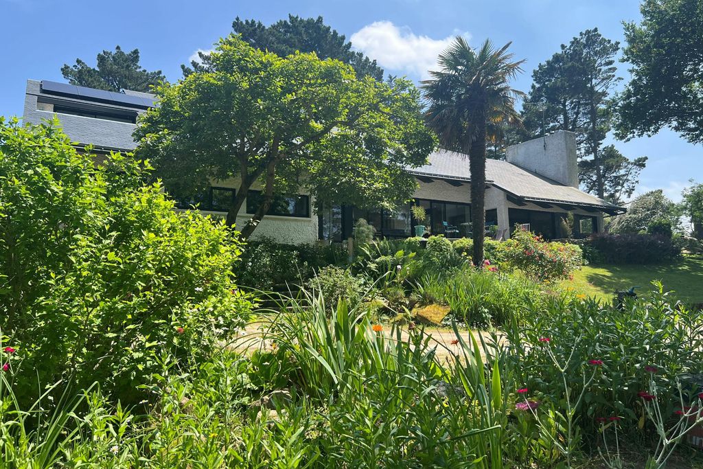 Mane Braz 8 - Gallery