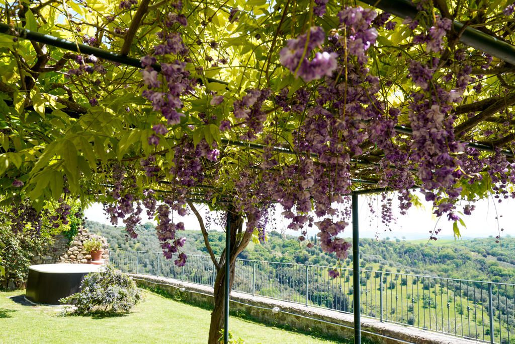 Il Frantoio 13 - Gallery