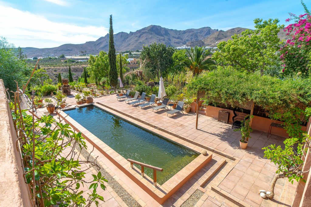 Finca del Alamo 3 - Gallery