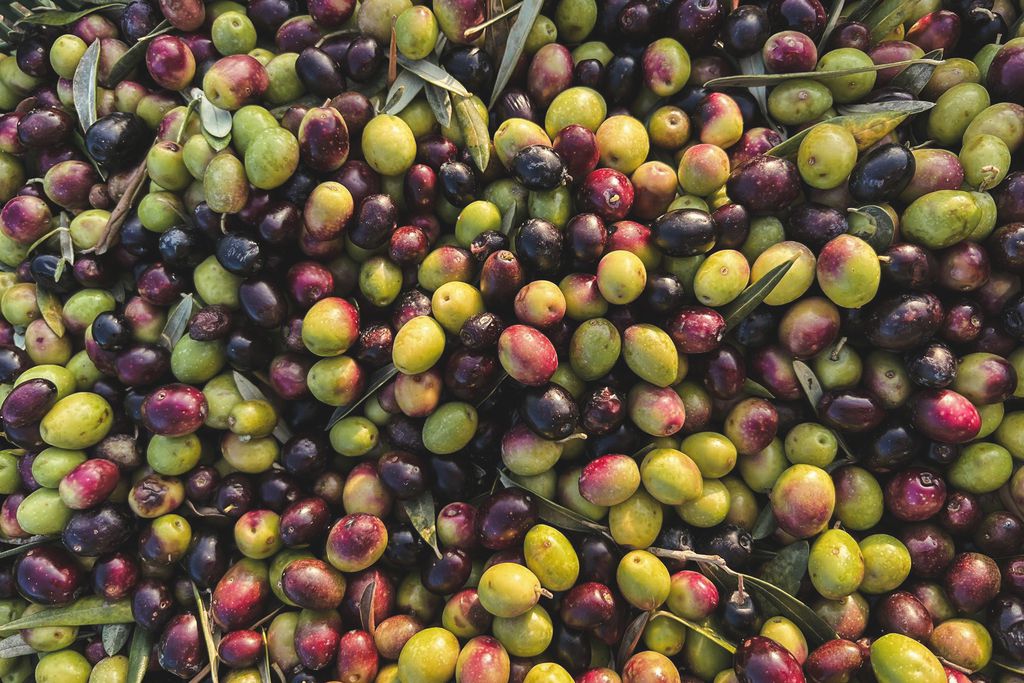 Agriturismo Scala 16 - Gallery