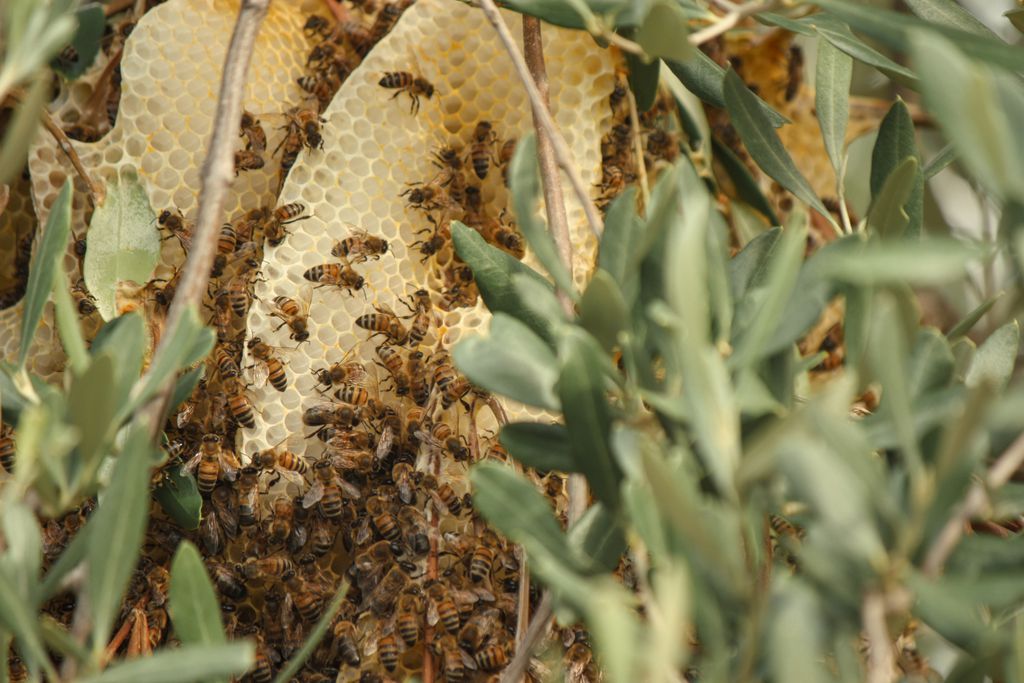 Agriturismo Scala 17 - Gallery