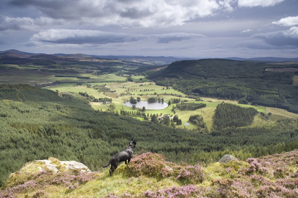 The Schoolhouse 4 - Gallery