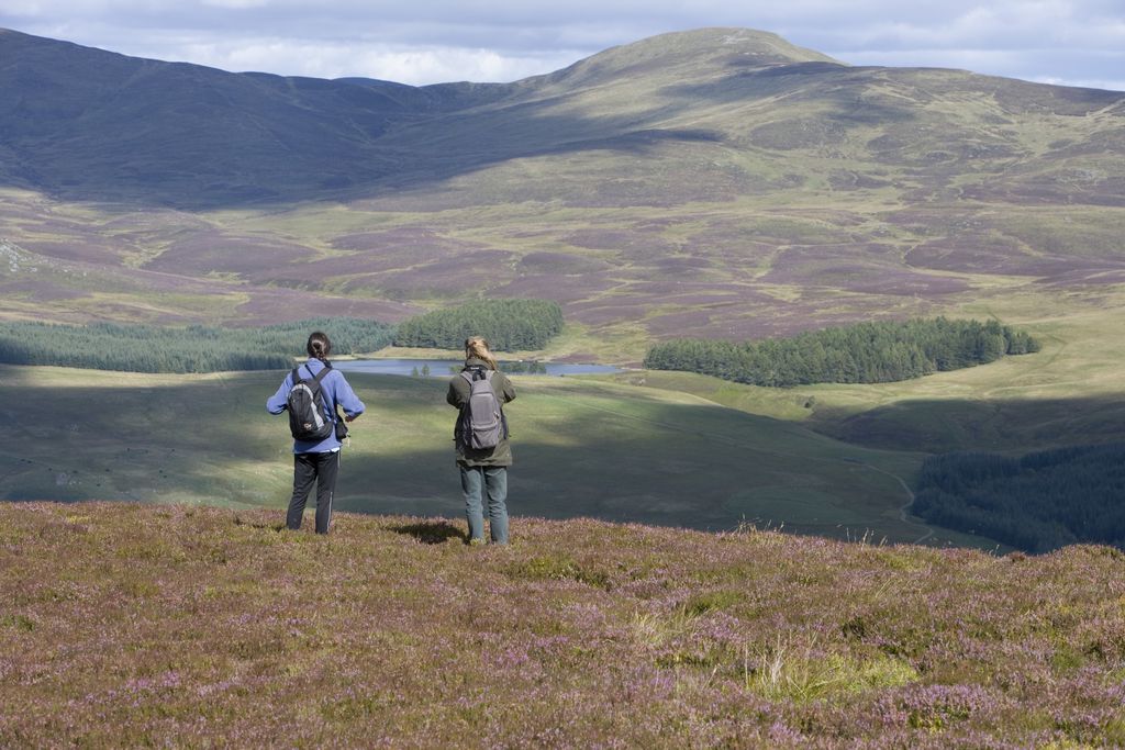 The Schoolhouse 18 - Gallery