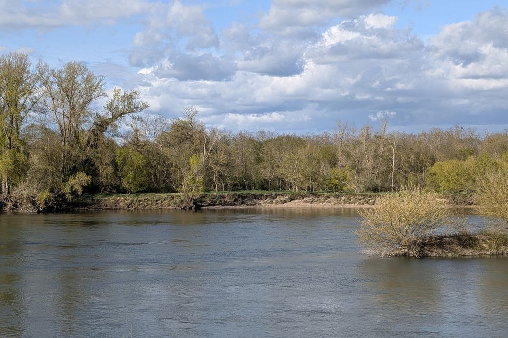 Le 11 Amboise 20 - Gallery