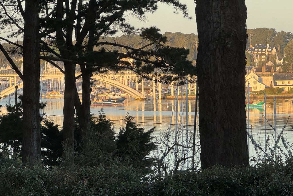 Mane Braz 2 - Gallery