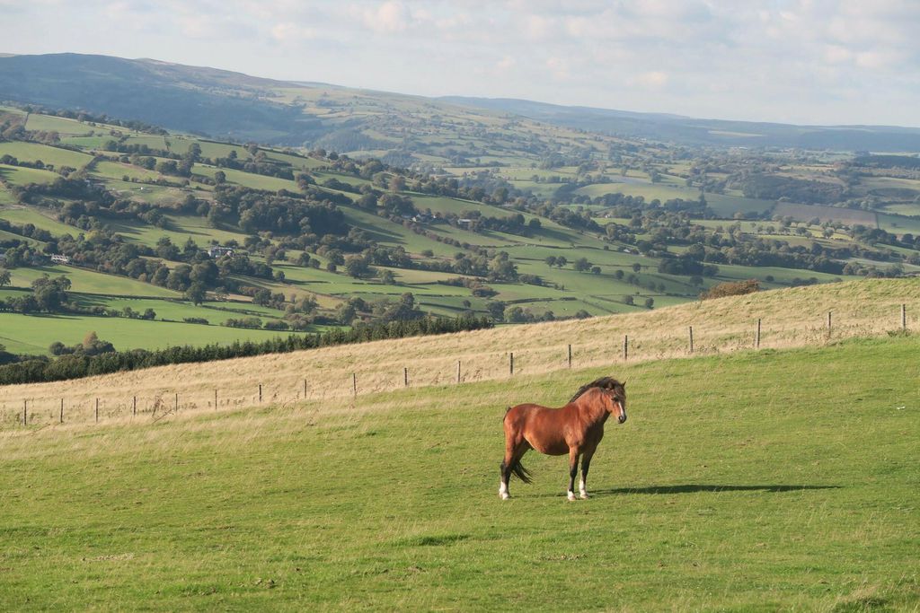 Henfaes Isaf 16 - Gallery
