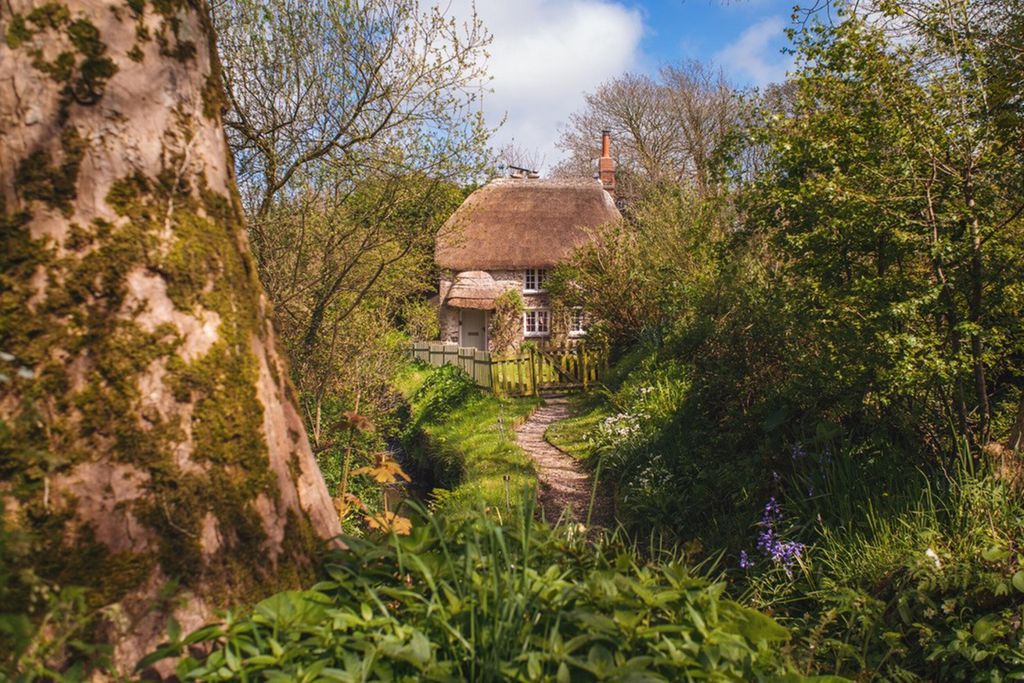 Philham Water Cottage 11 - Gallery